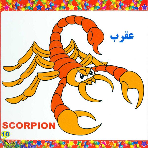 آشنایی با حشرات
